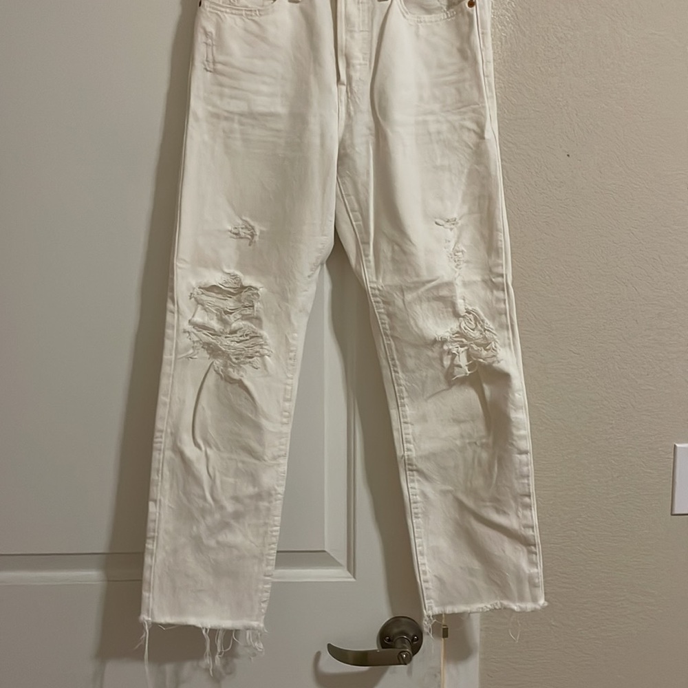Levi bundle - Picture 5 of 7